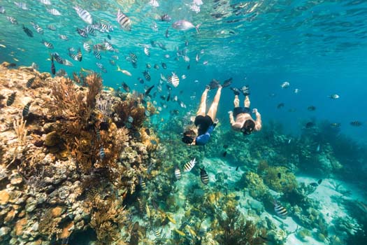 Buceo 1