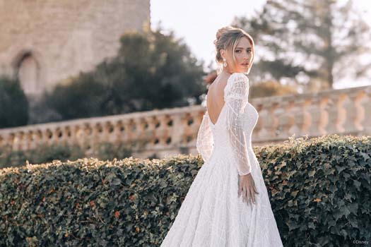 DP423 Cinderella 05