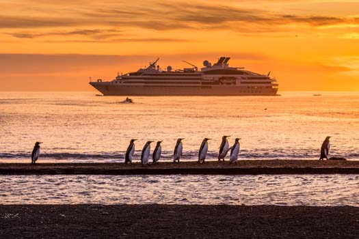 Ponant 1