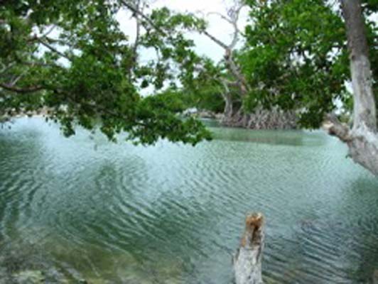 Yucatan ok1