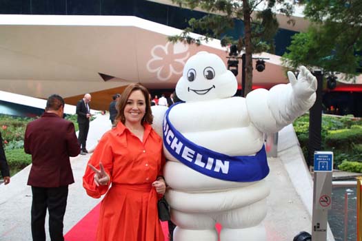 GUIA MICHELIN 1