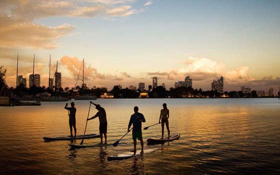 Miami Beach Paddleboard